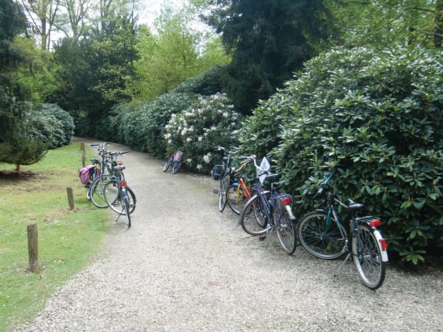 HWK2010 056.jpg